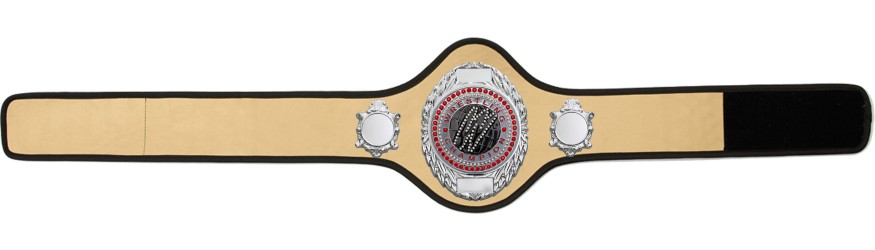 WRESTLING BELT-PRO286/S/WRESTGEMS-10+ COLOURS
